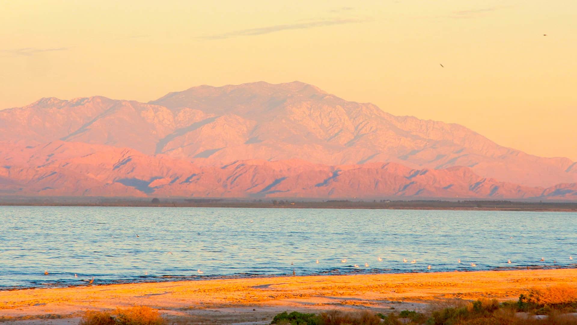 Lithium deposit identified in the Salton Sea