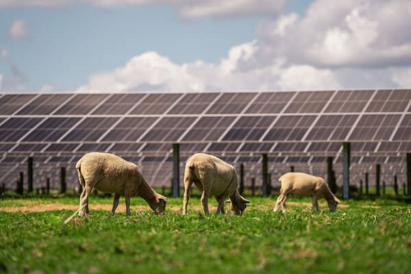 Trina Solar Solar farm Renewable energy Smart PV Energy storage solutions