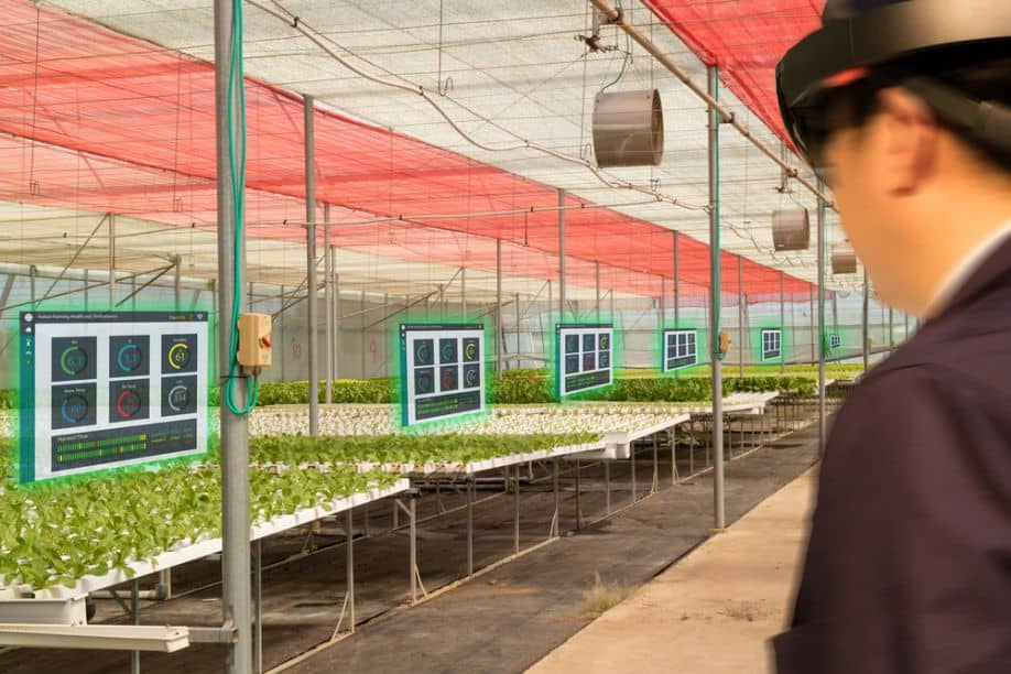 Revolutionizing Agriculture: The Rise of Smart Greenhouses for Sustainable Food Production in 10 years