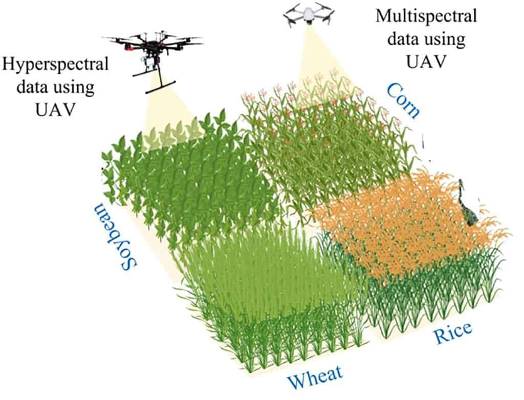 AI in agriculture, remote sensing technologies, plant phenotyping, UAV data acquisition, deep learning models