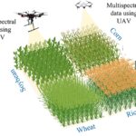 AI in agriculture, remote sensing technologies, plant phenotyping, UAV data acquisition, deep learning models