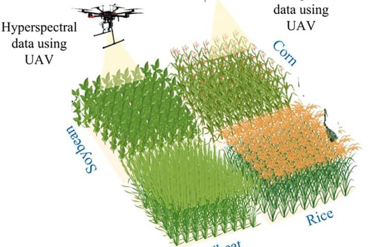 AI in agriculture, remote sensing technologies, plant phenotyping, UAV data acquisition, deep learning models